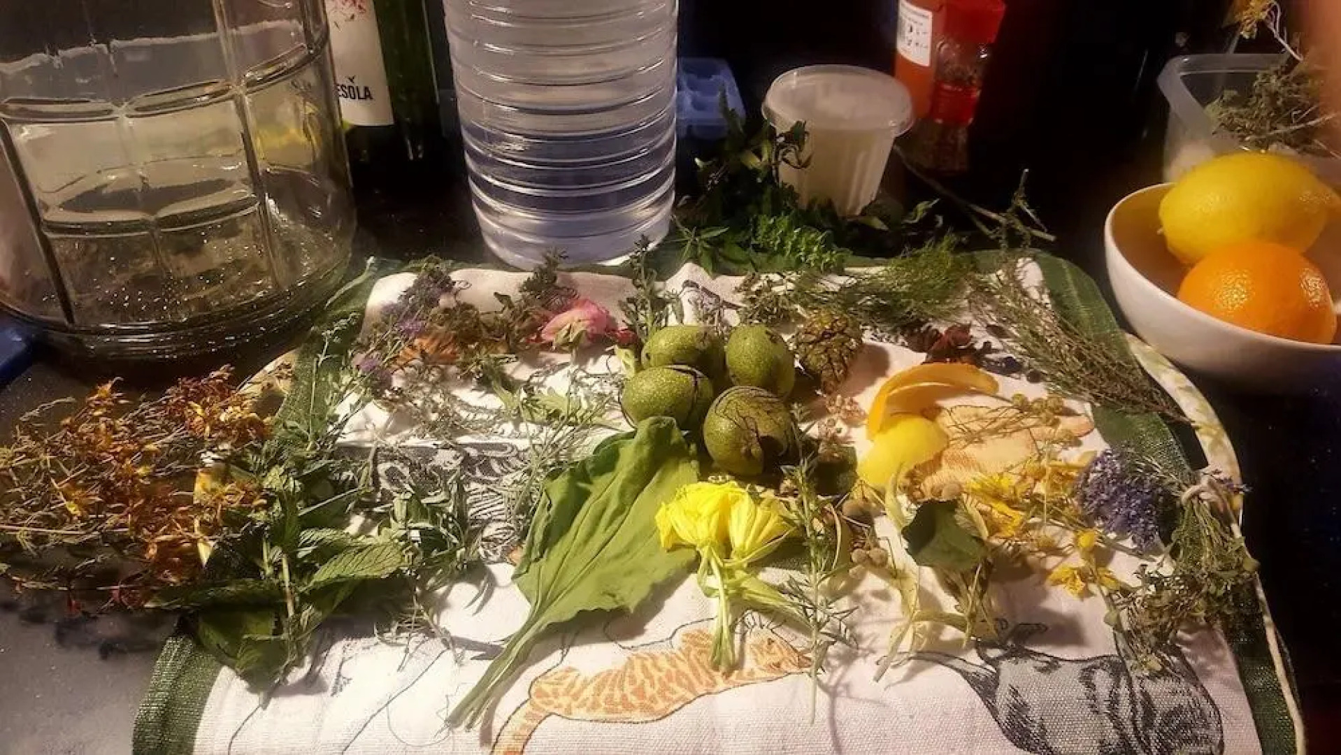 La Rectoria De Sant Miquel De Pineda