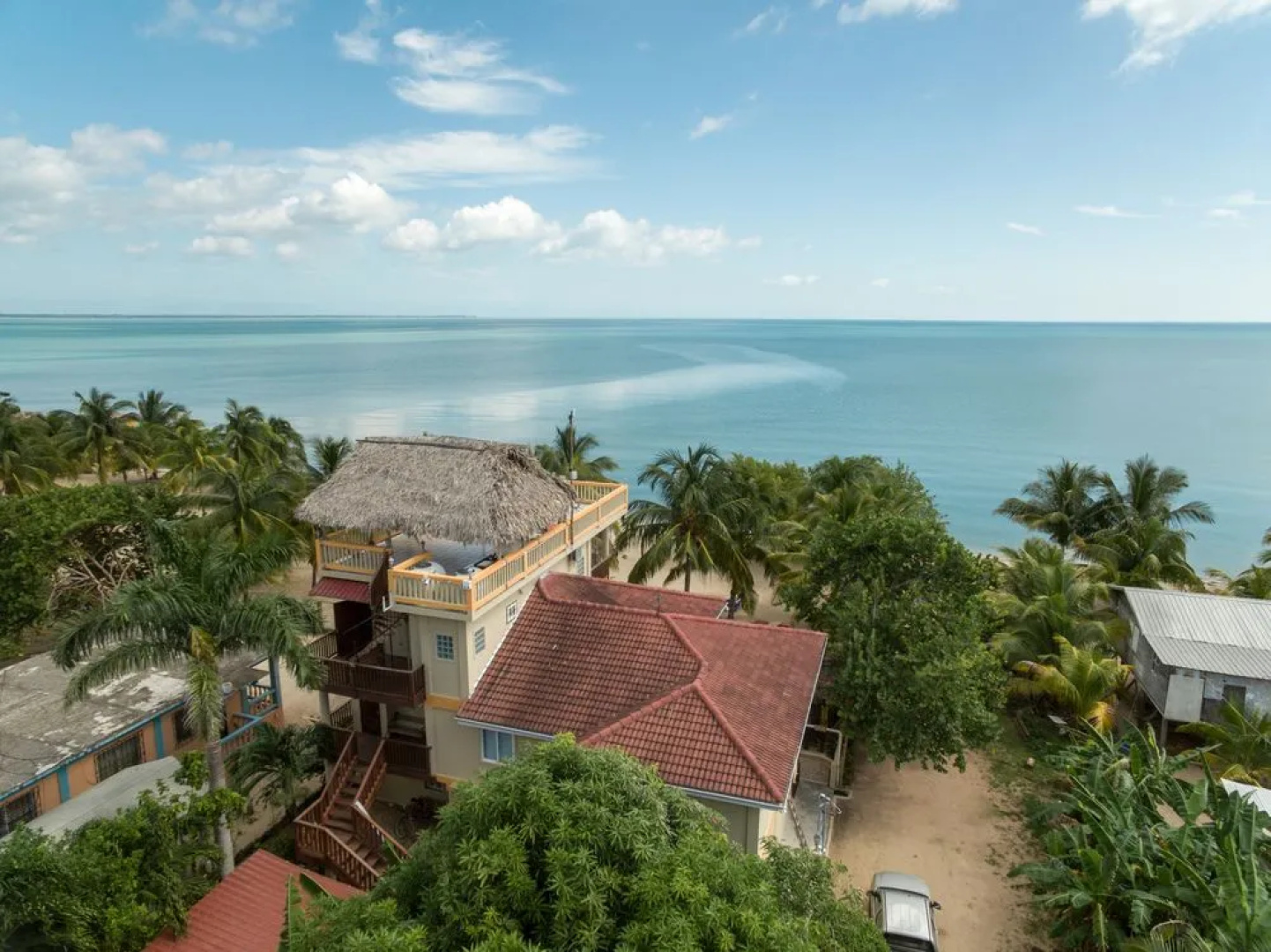 Buttonwood Belize