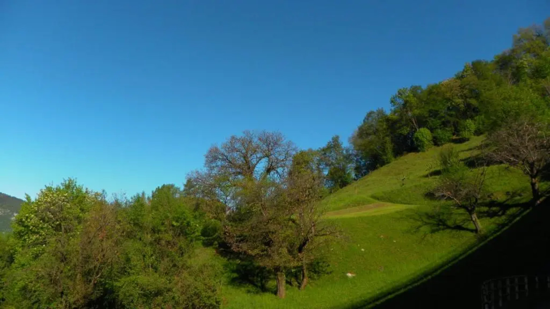 Balcony Lake View Apartment