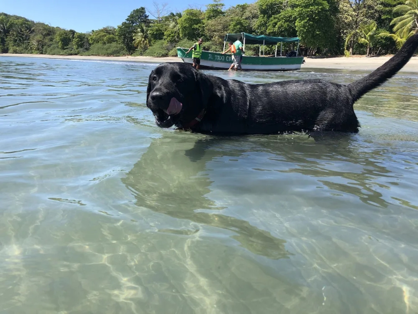 Roxy Fishing Club Y Hotel