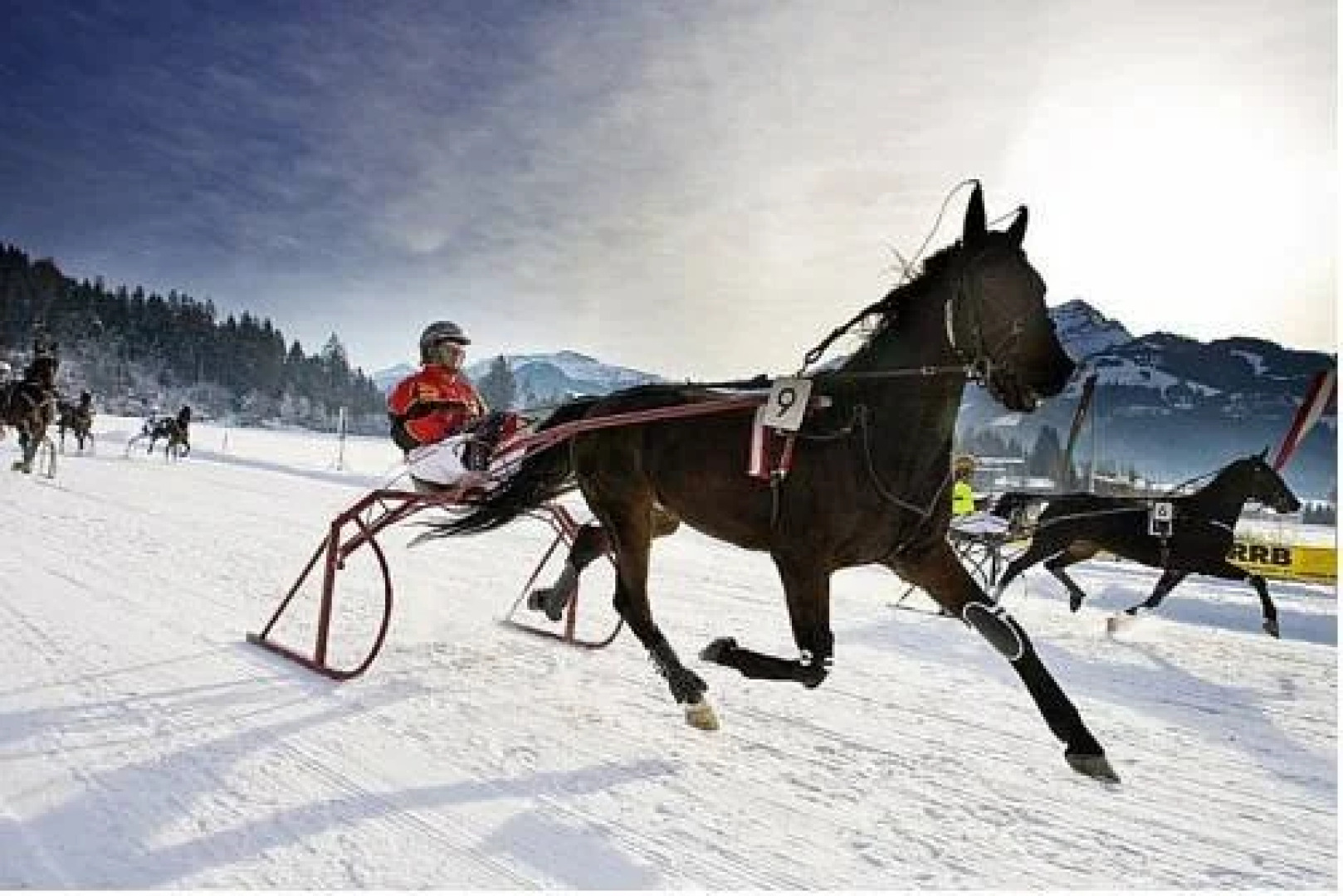 Appartement Felsenheim
