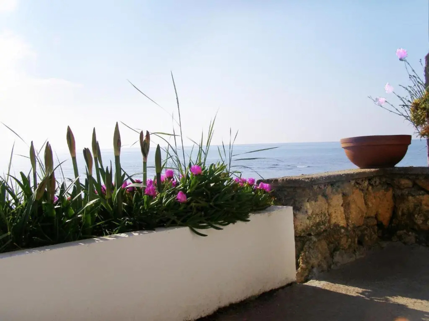 Palastura Apartments