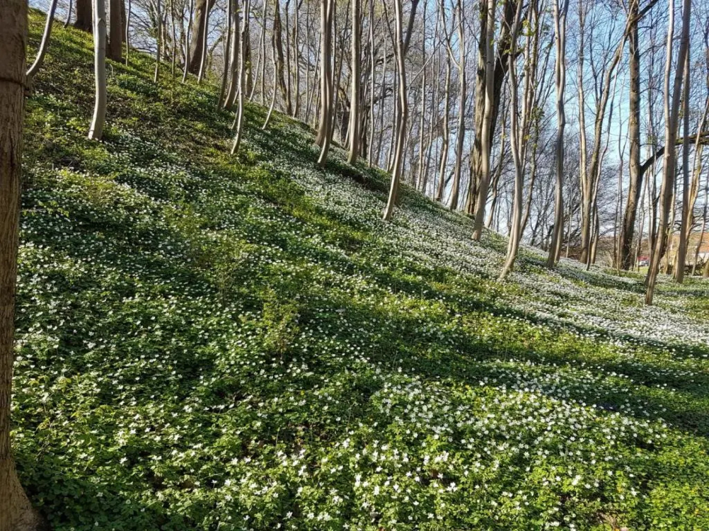 Ferienwohnung 10 im Haus Hühnergott