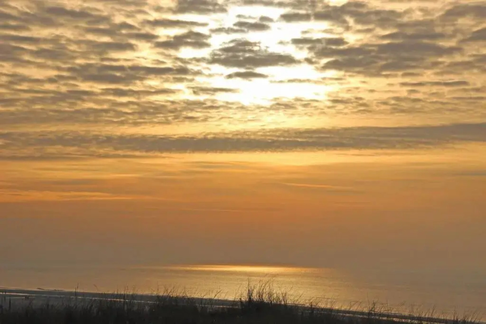 vakantiehuisje "De Blaauboer"