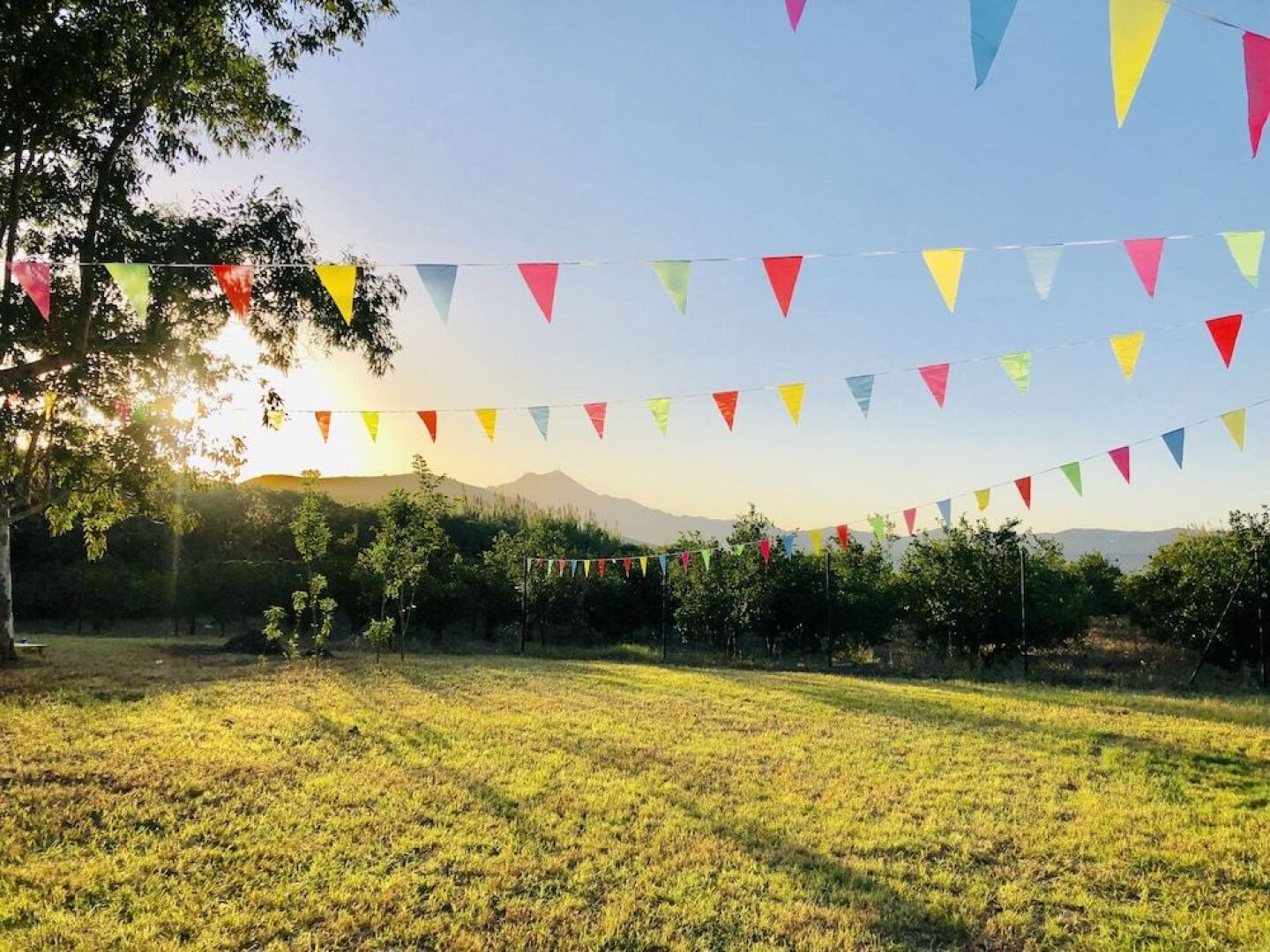 Kampea Playa de Gandia