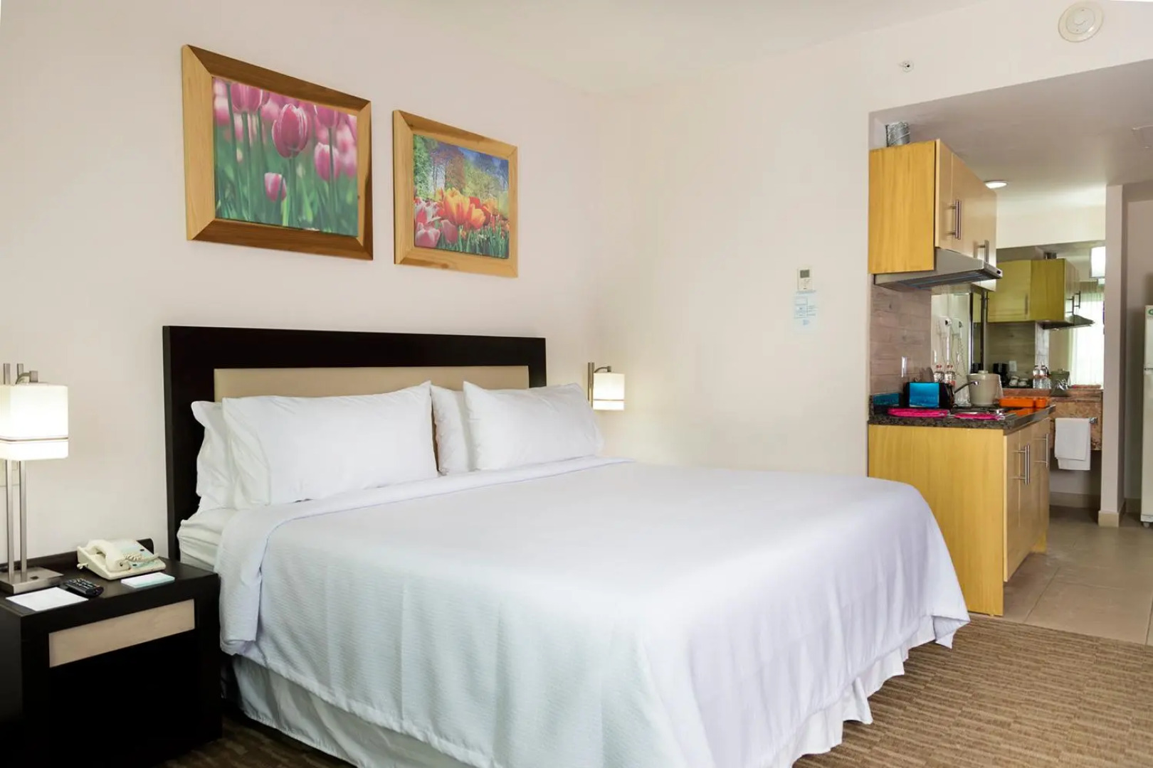 Excellence Express & Suites