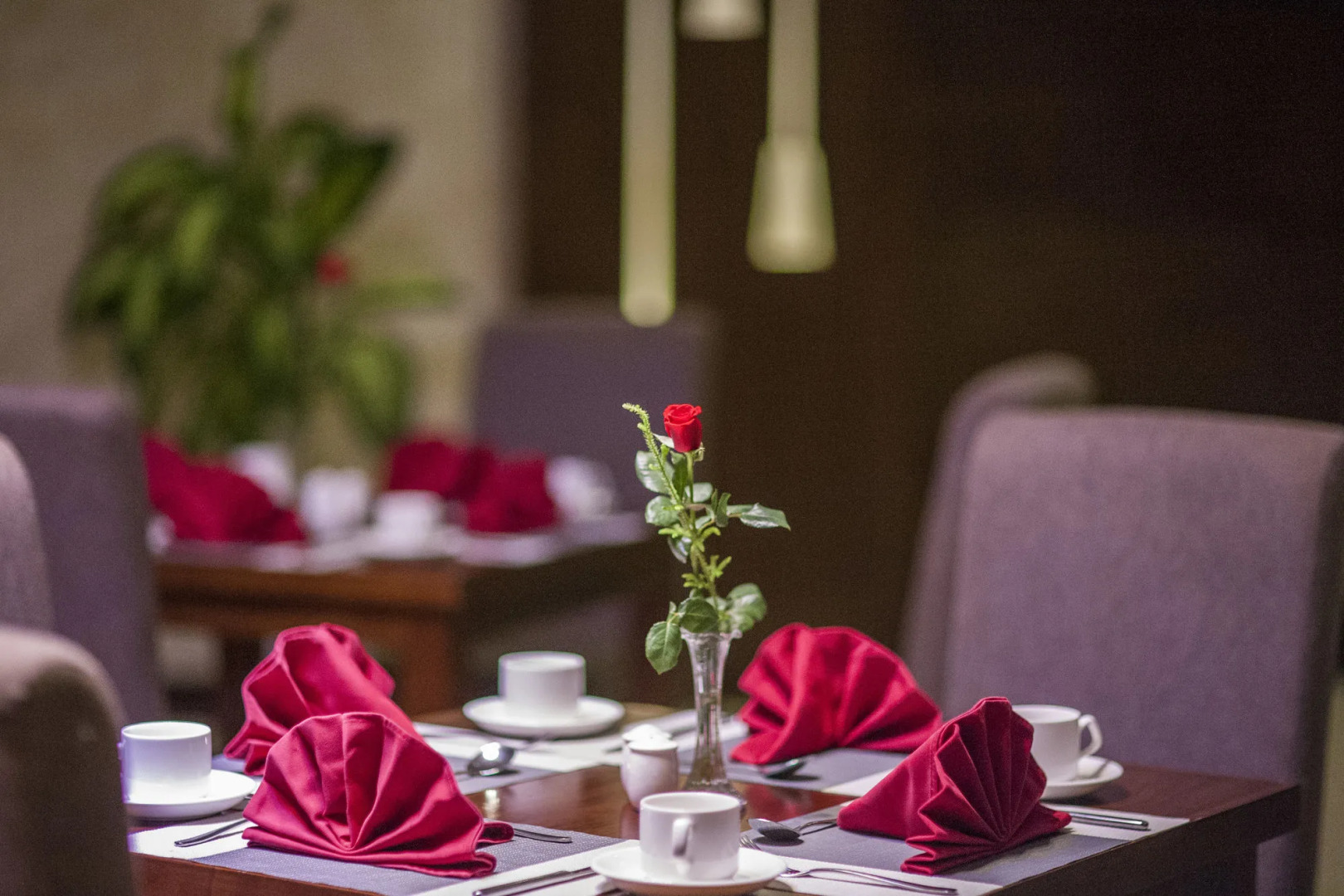 Muong Thanh Grand Quang Tri Hotel