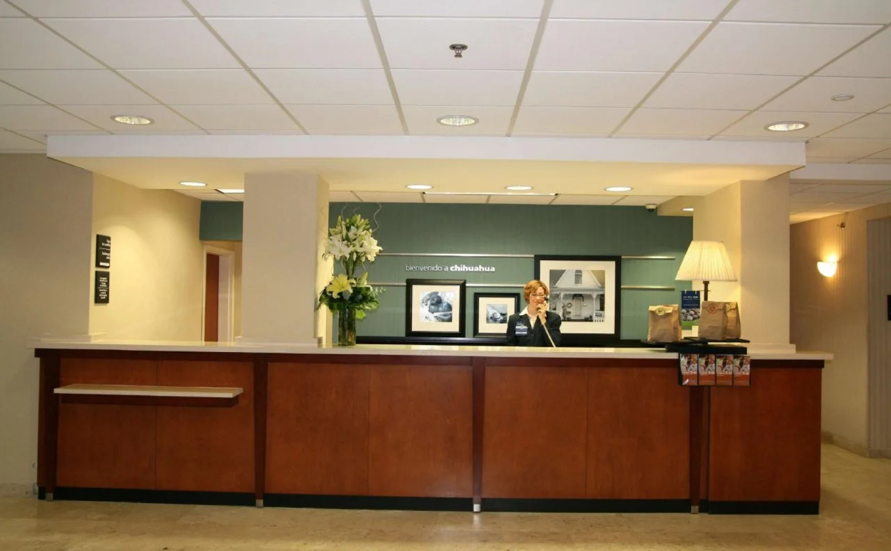 Hampton by Hilton Chihuahua