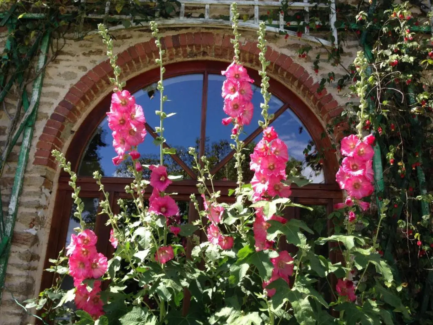 L'Orangerie de Kerlarec