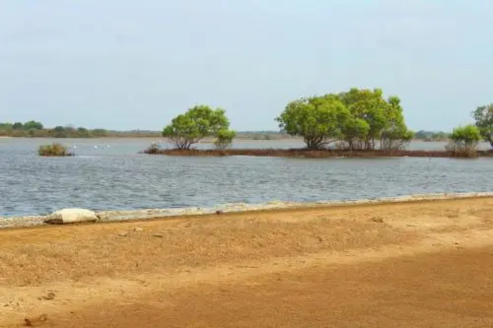 The Residence Nilaveli