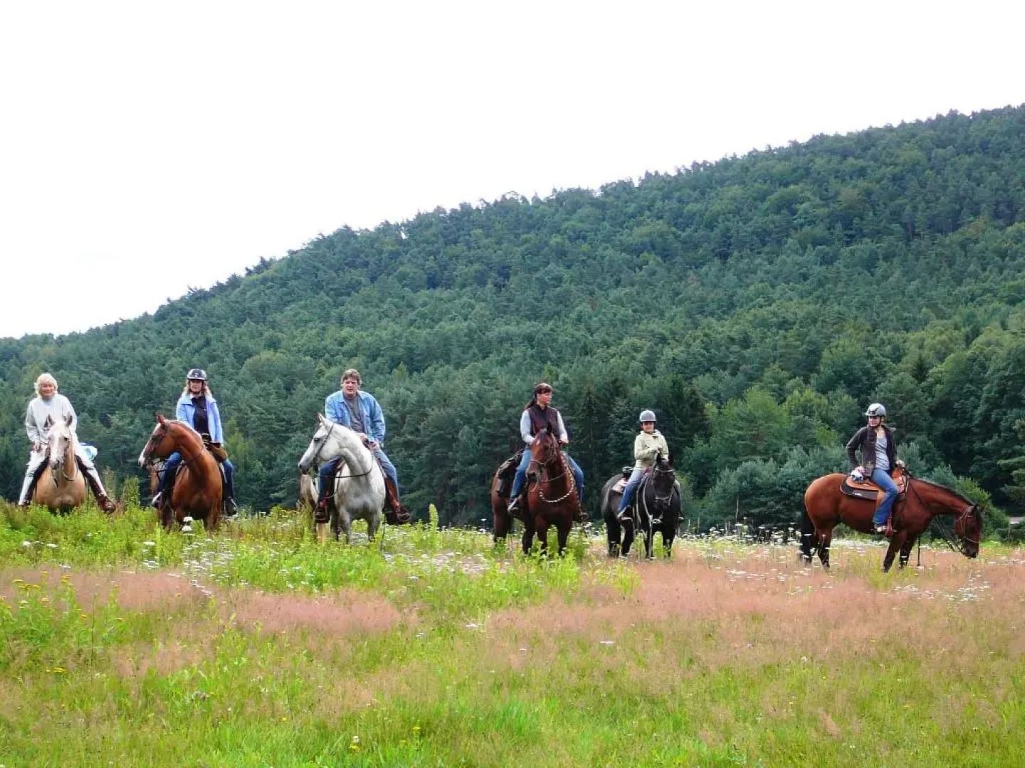 Landgasthof Zum Ochsen