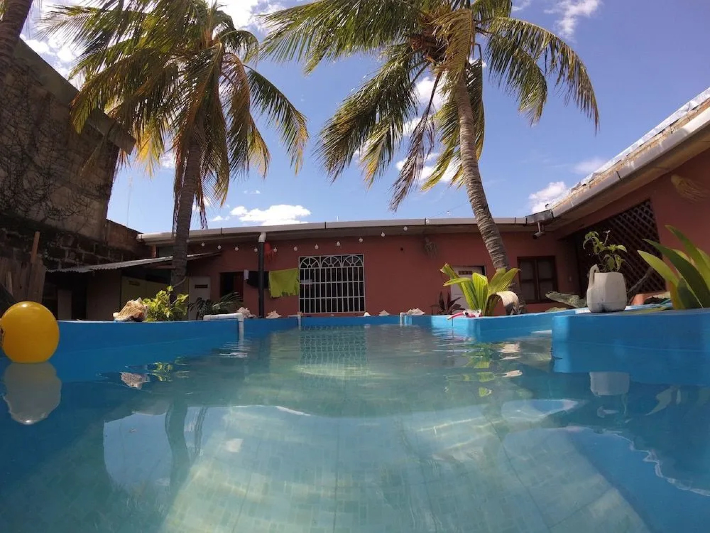 Mangos Hostel