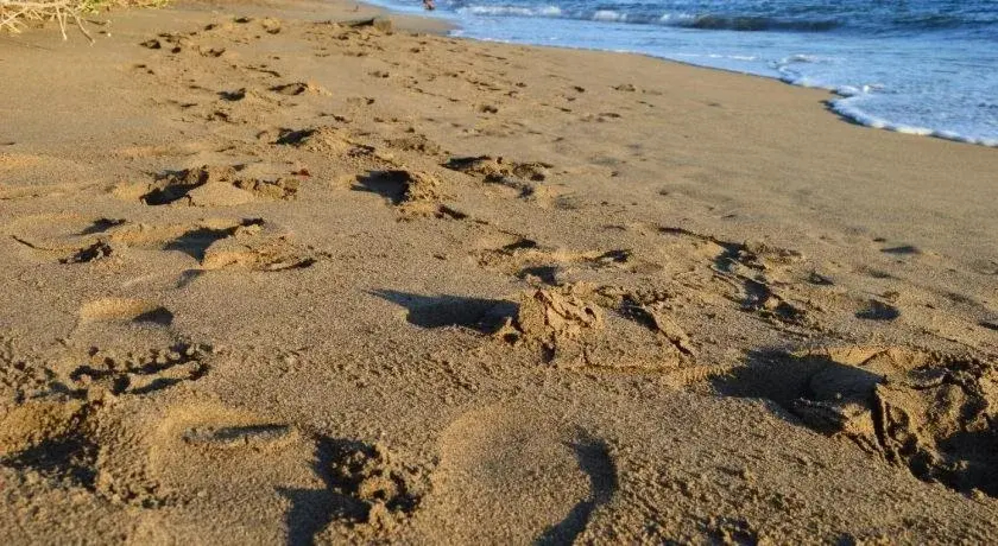 The Lahaina Beach House