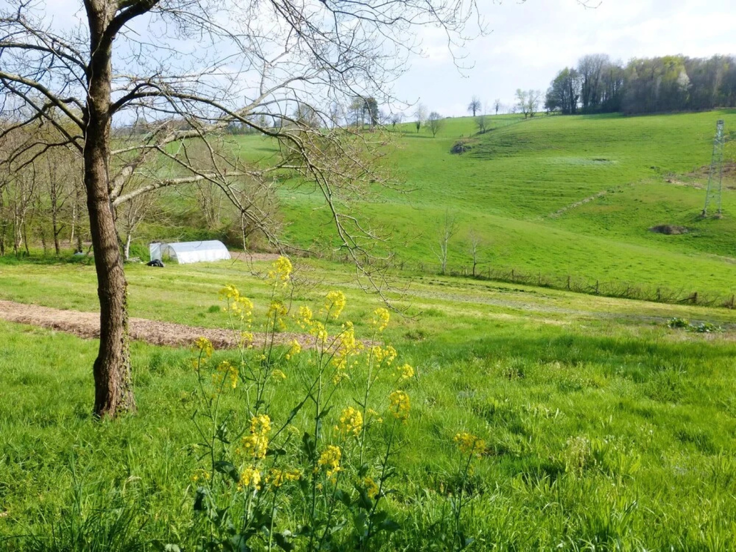 House With 3 Bedrooms in Saint-hilaire-peyroux, With Enclosed Garden and Wifi