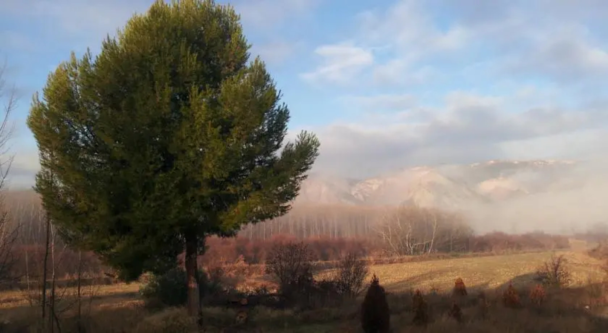 Cortijo Anchurones de San Pedro