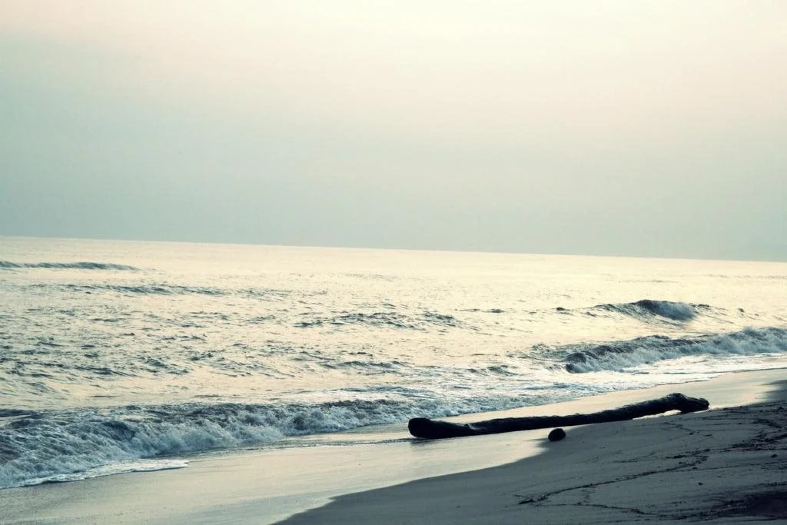 Tayrona Tented Lodge