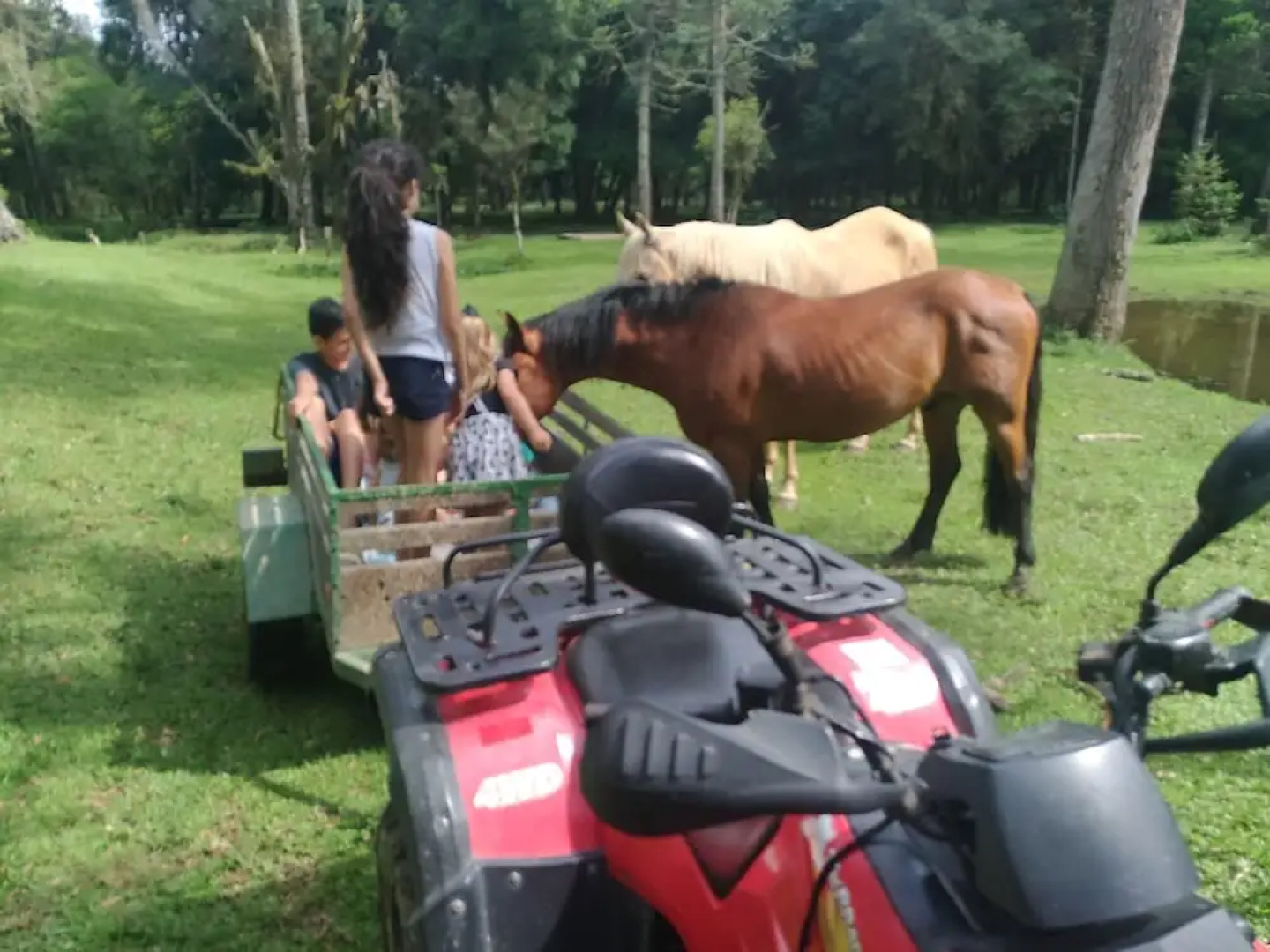 Pousada Recanto dos Pôneis