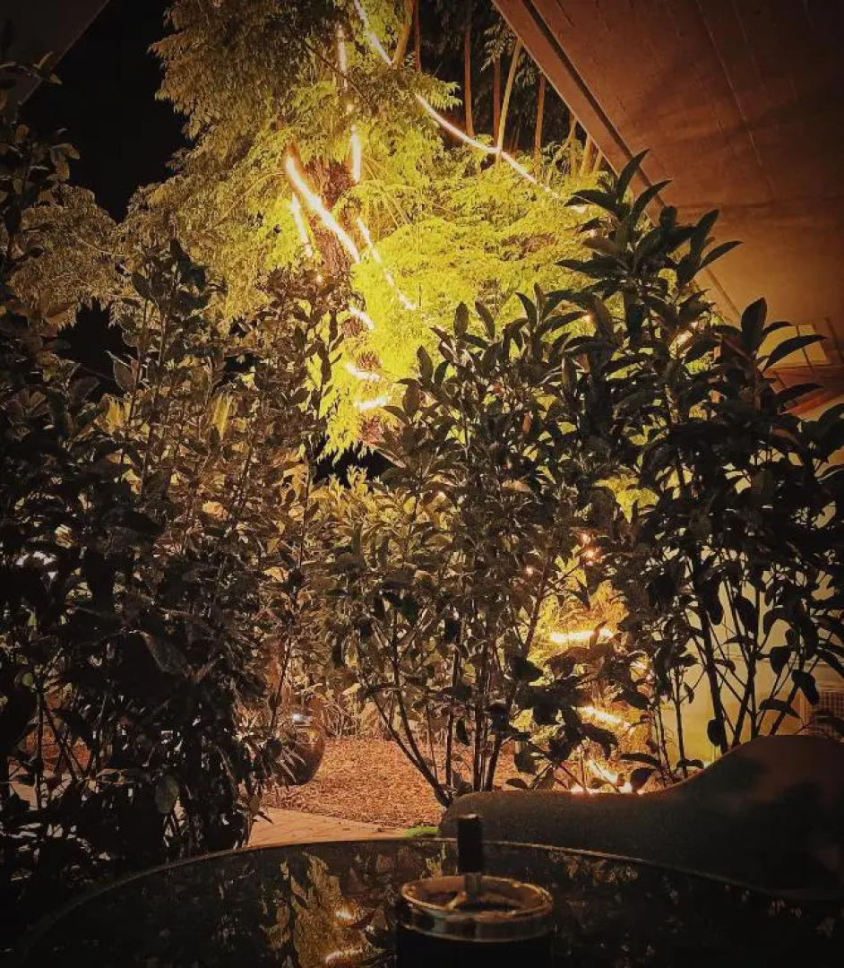 Utopia Bed & Breakfast