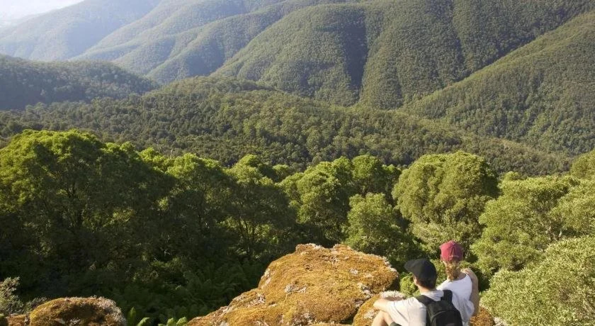 Shady Trees Barrington Holiday House