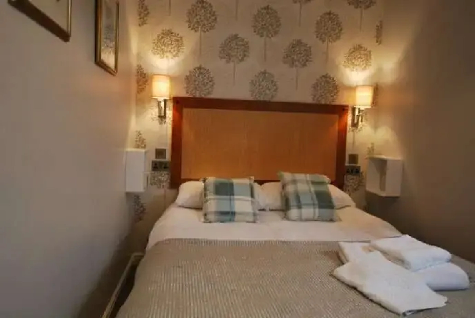 The Lion and The Lamb