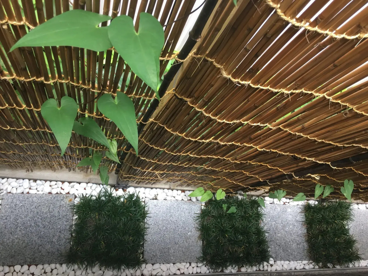Kanazawa Machiya Aburaya