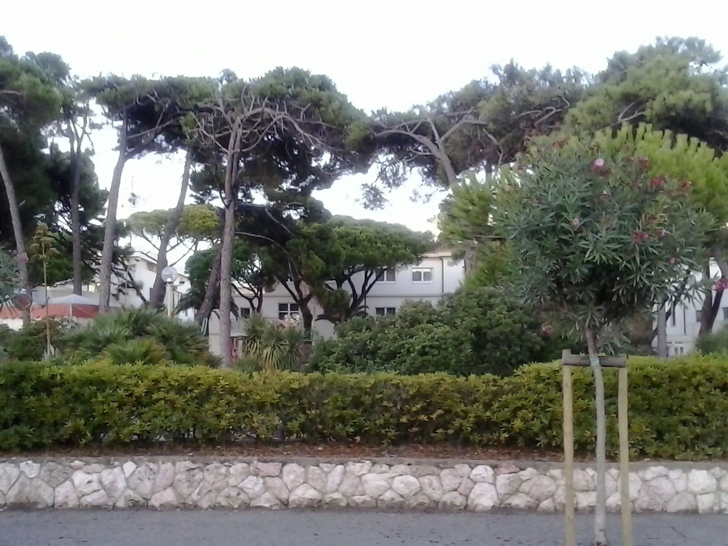 Hotel Terme Marine Leopoldo II