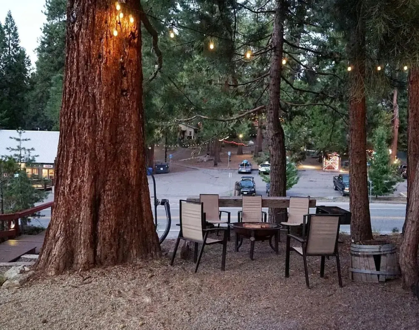 Hawks Nest in Shaver Lake