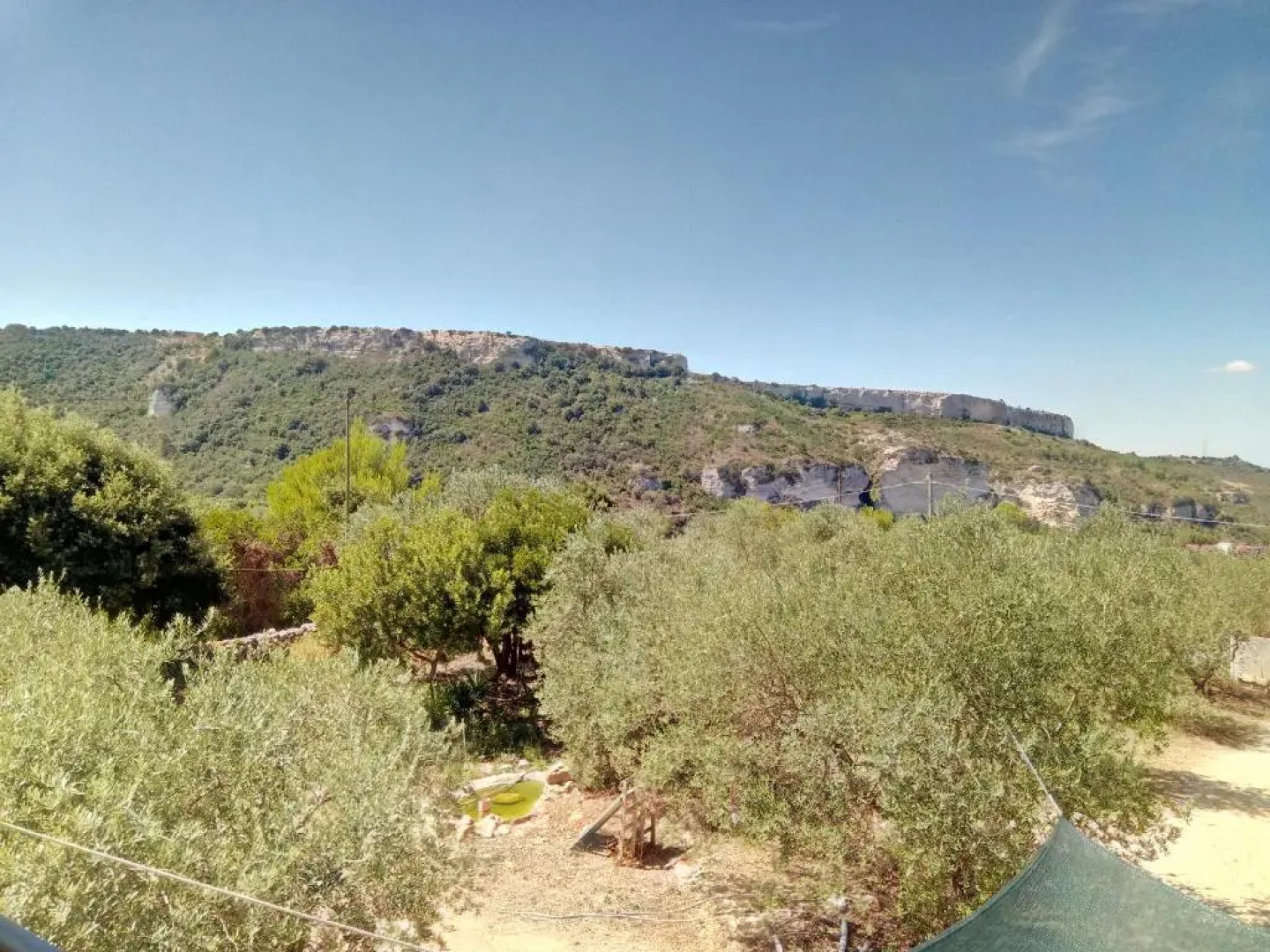 Residence degli ulivi