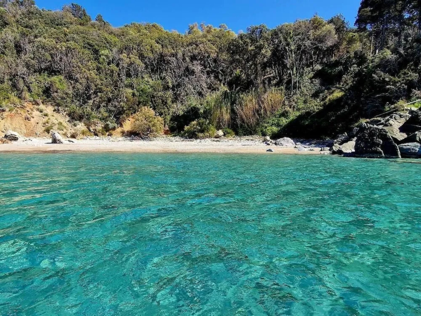 Poggio La Buca - Agriturismo