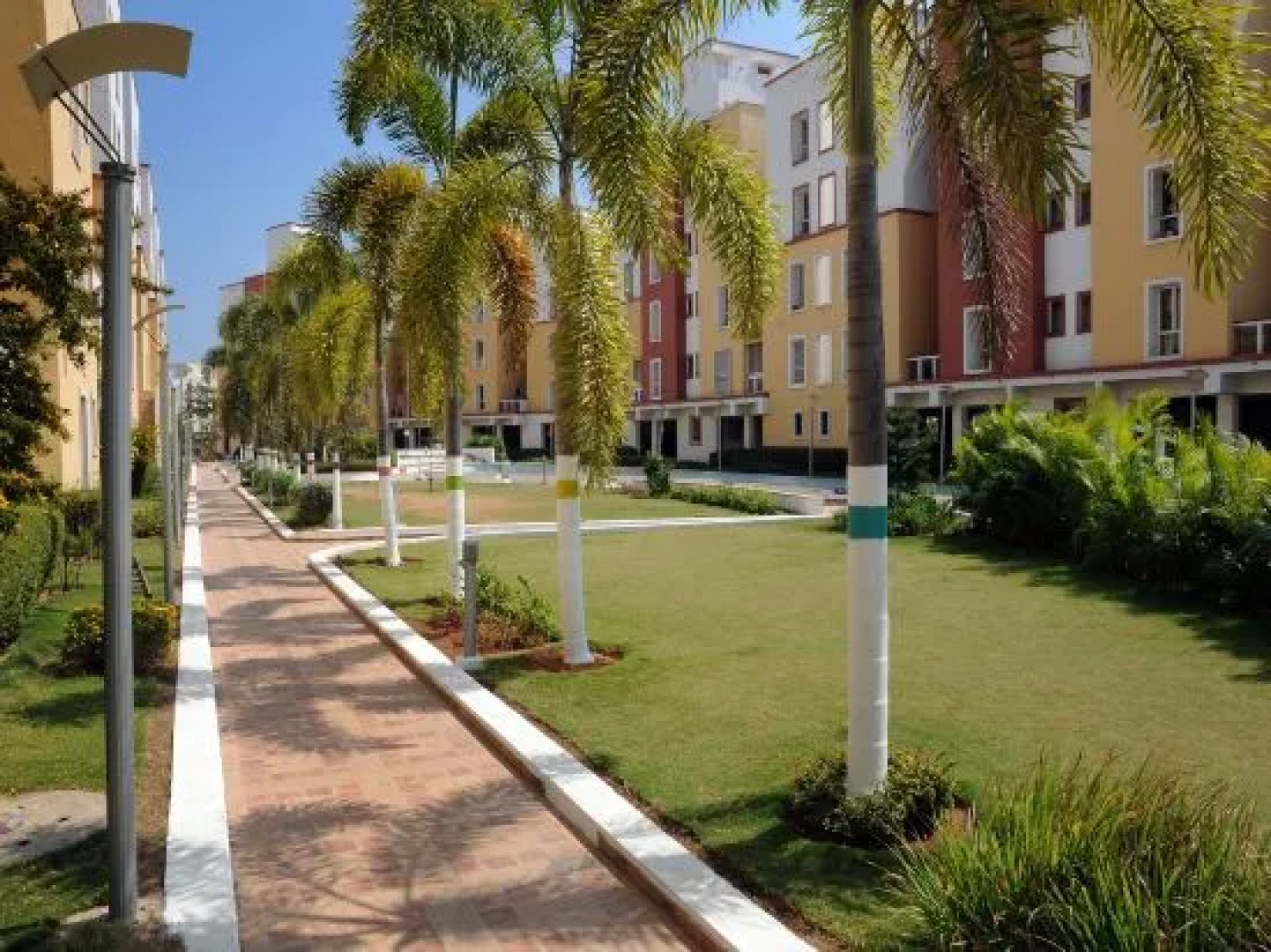 Executive Comfort OMR