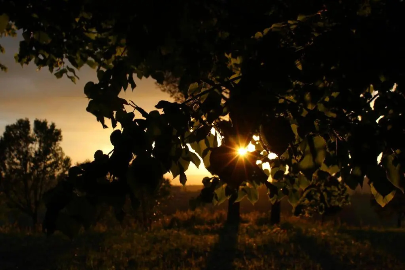 Villa Mirella Country House