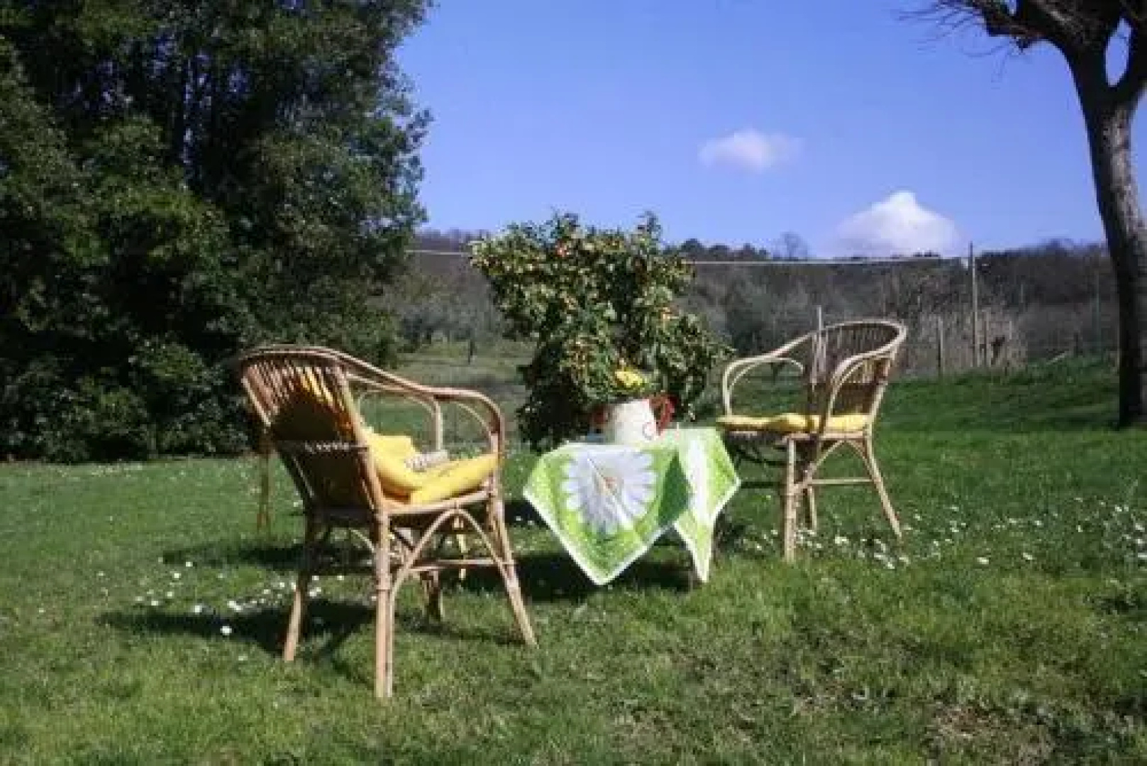 La Casa dei Tarocchi