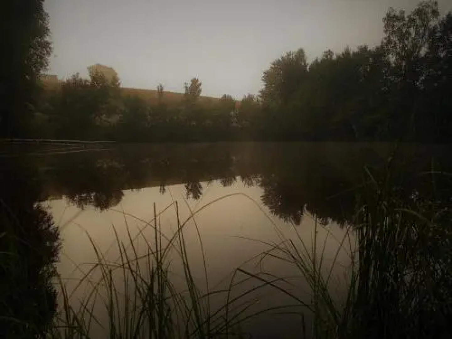 Landhotel "Sumpfmühle" am Tharander Wald