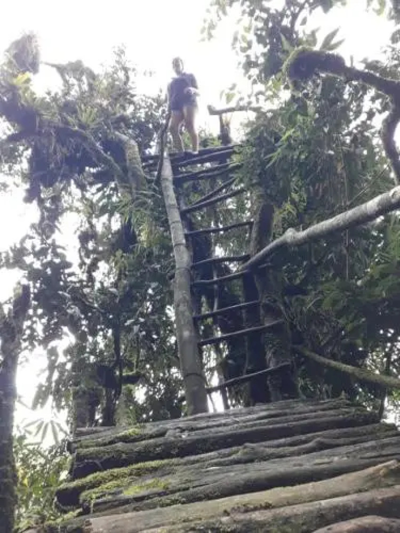 Casa Hospedaje El Gatito