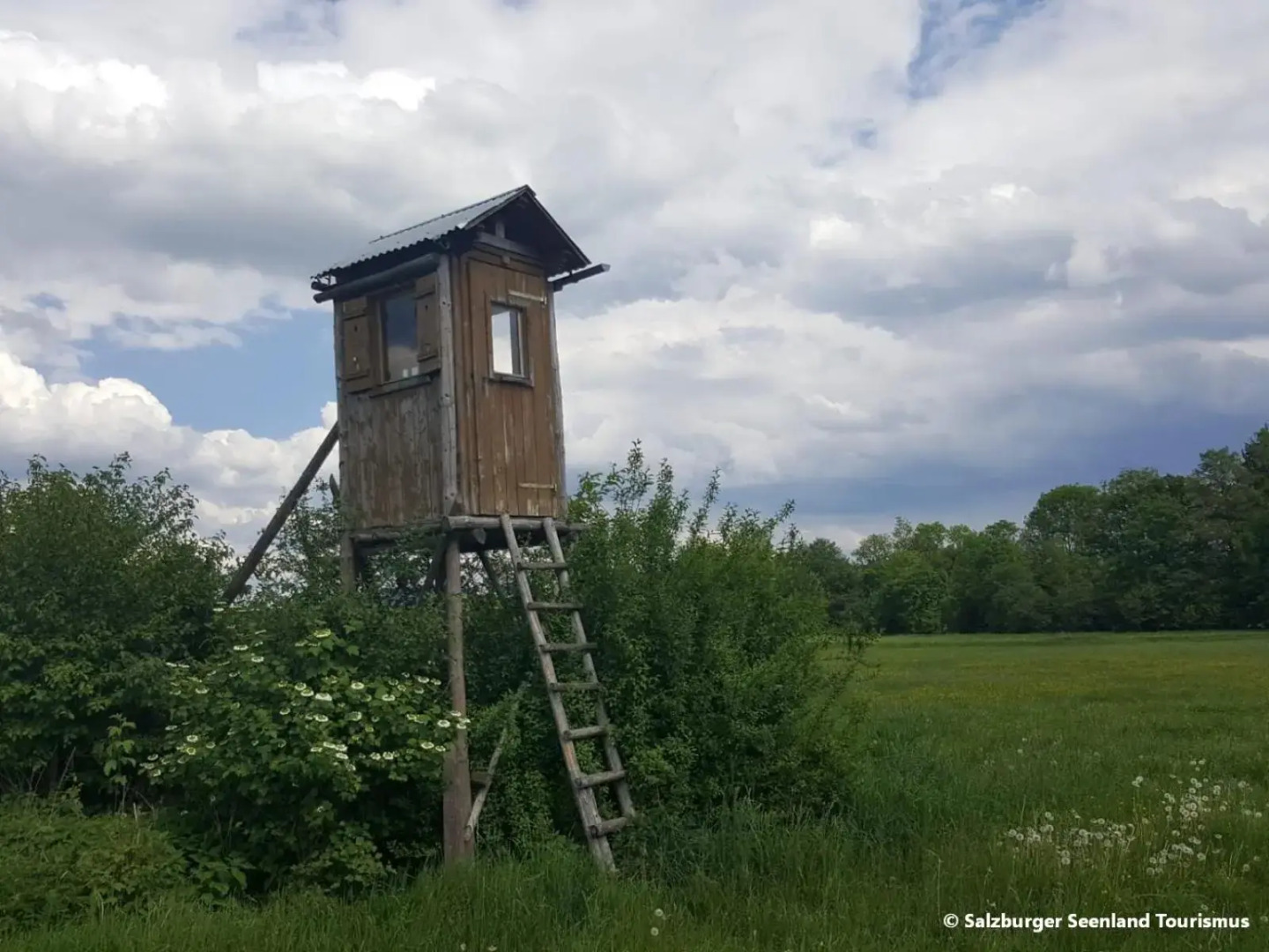 PP-Camping Wallersee