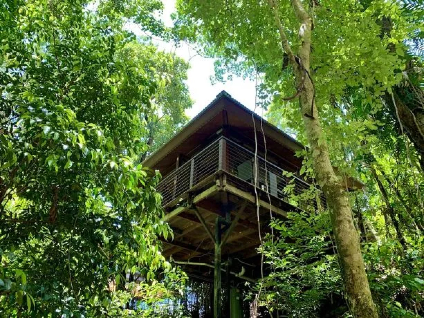 Cairns Rainforest Retreat