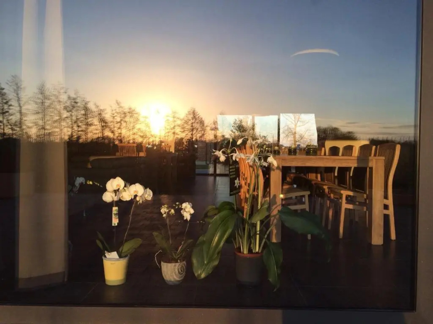 Vakantiehoeve Berckelaer