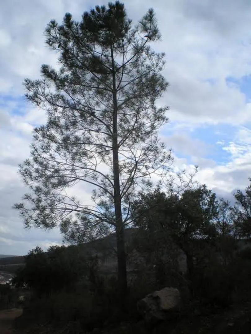 Apartamento Rural Tajo Internacional