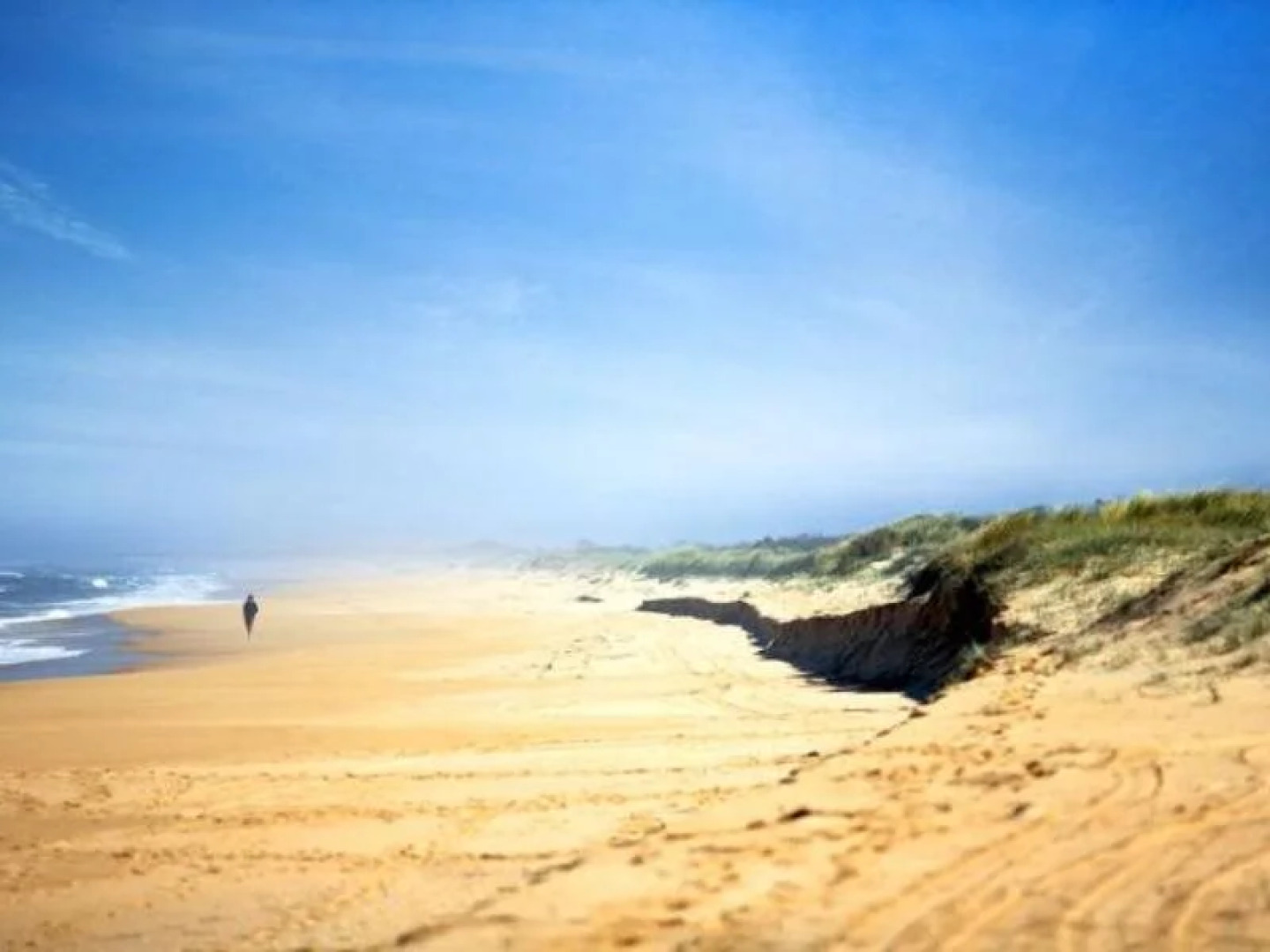 Paradise Holiday Apartments