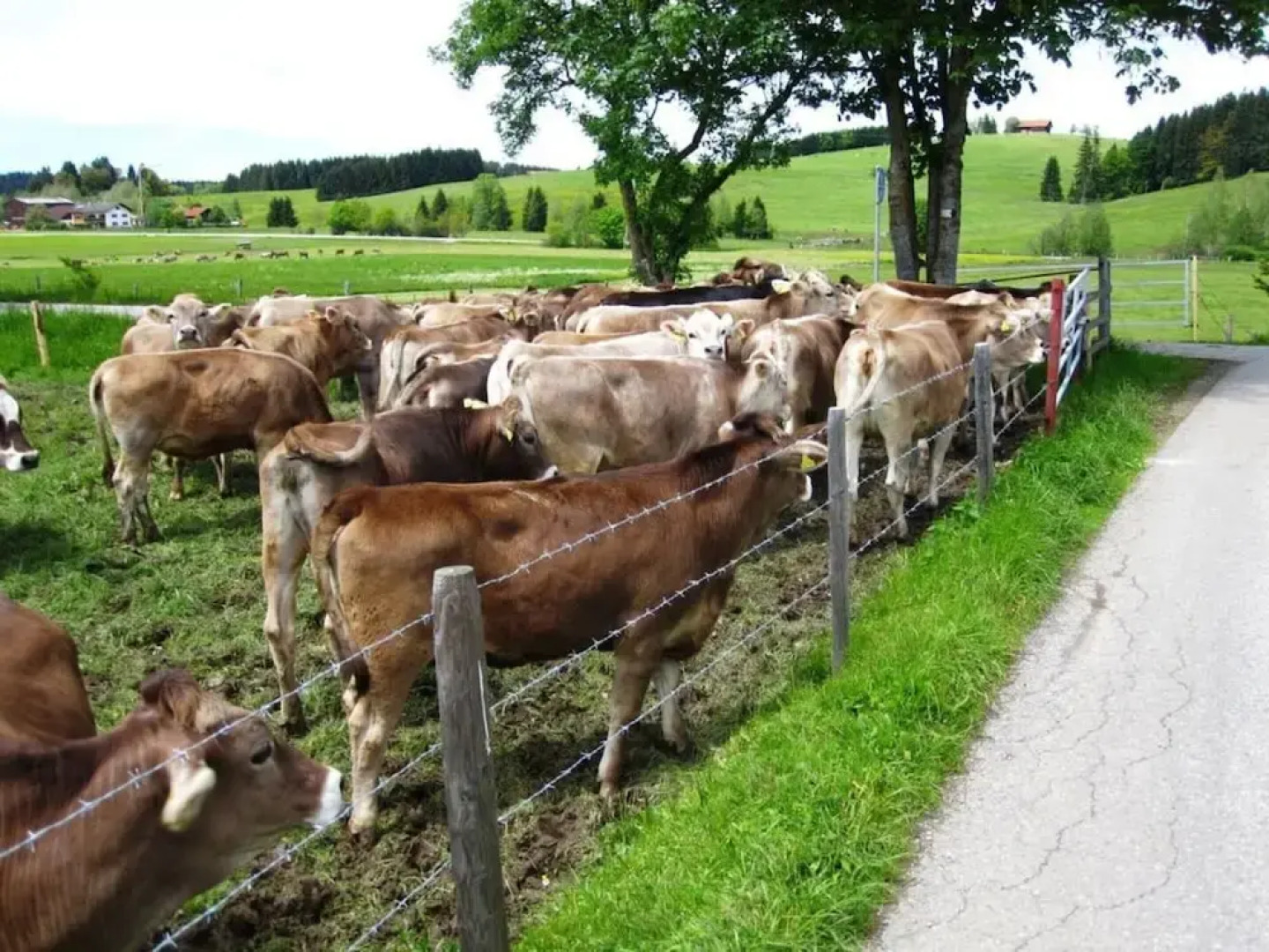 Sandra Comfortable Holiday Residence