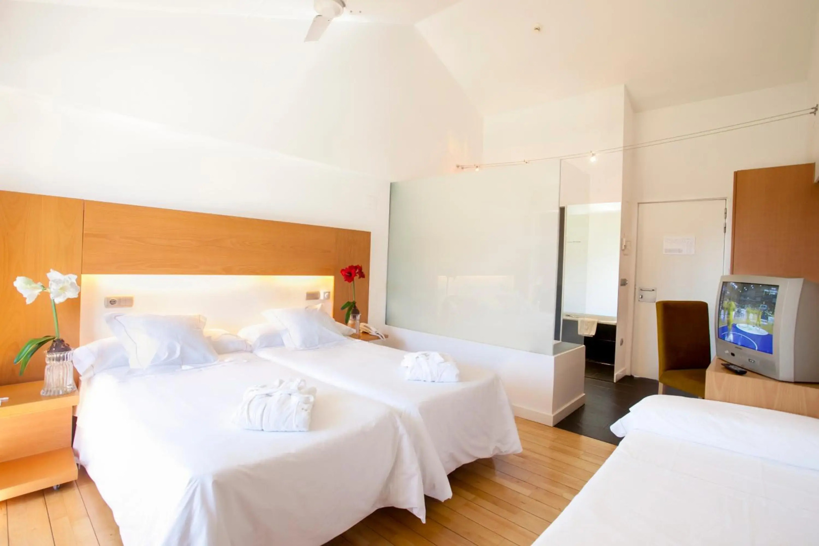 Tierra De Biescas Hotel