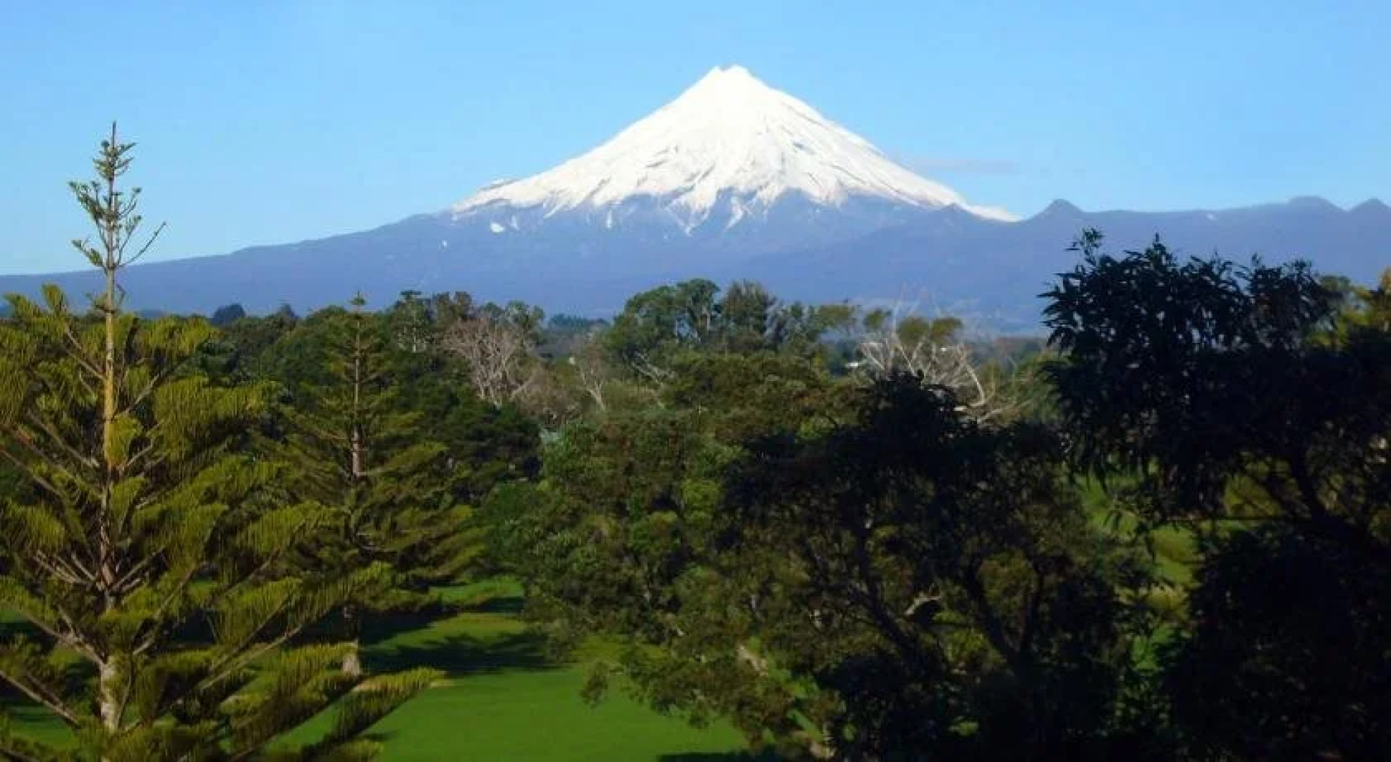 Abode on Rimu Bed and Breakfast