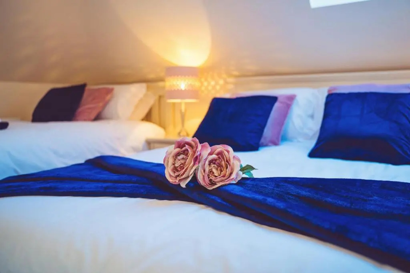 Ross Beach Family Farmhouse B&B