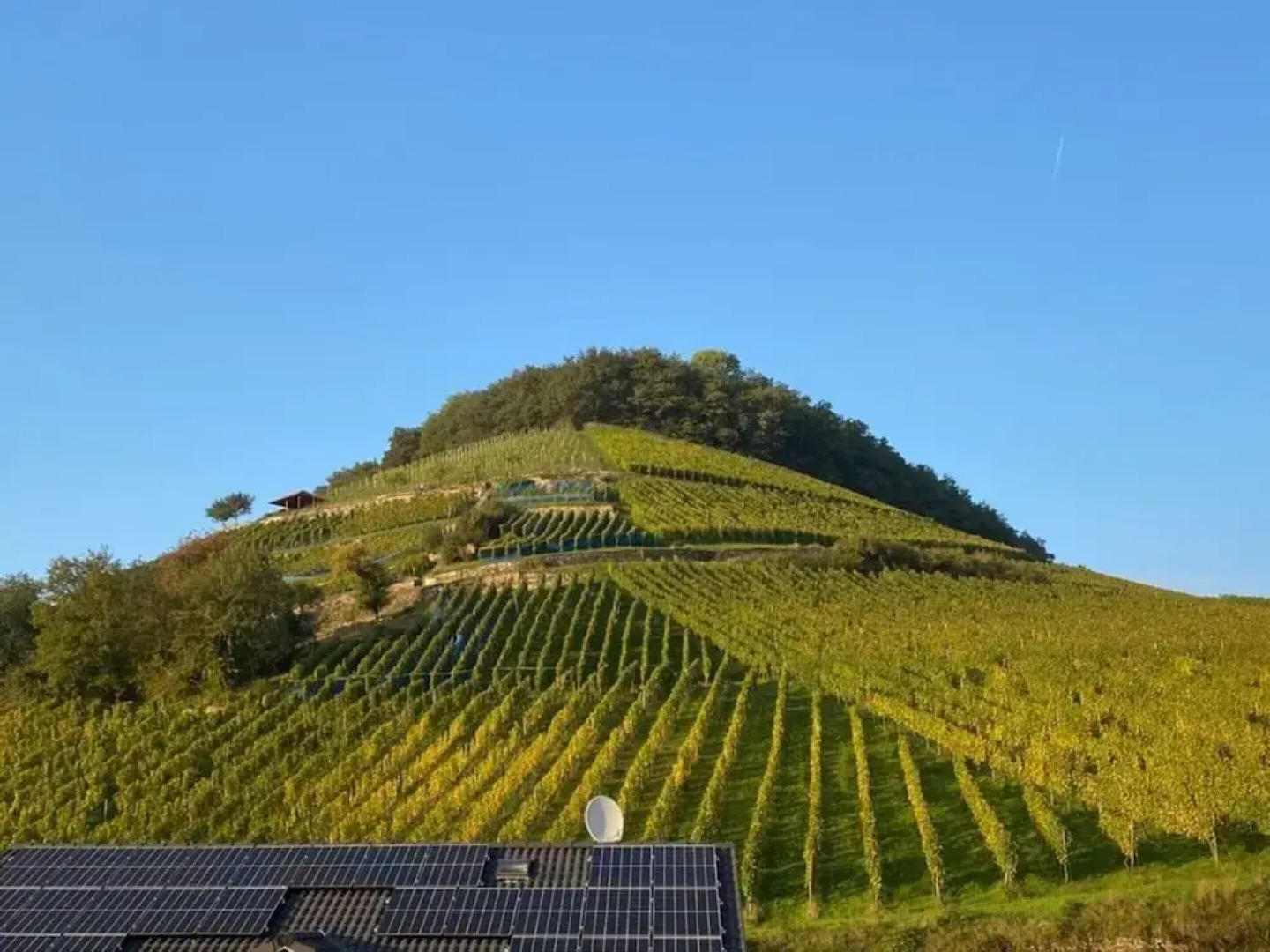 Holiday Apartment Meadow