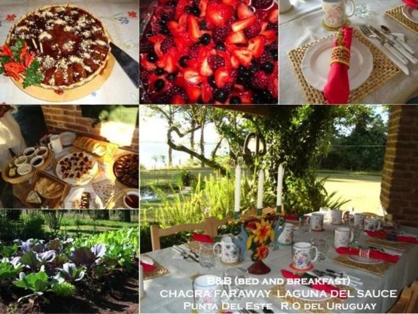 Bed & Breakfast Faraway Farm House