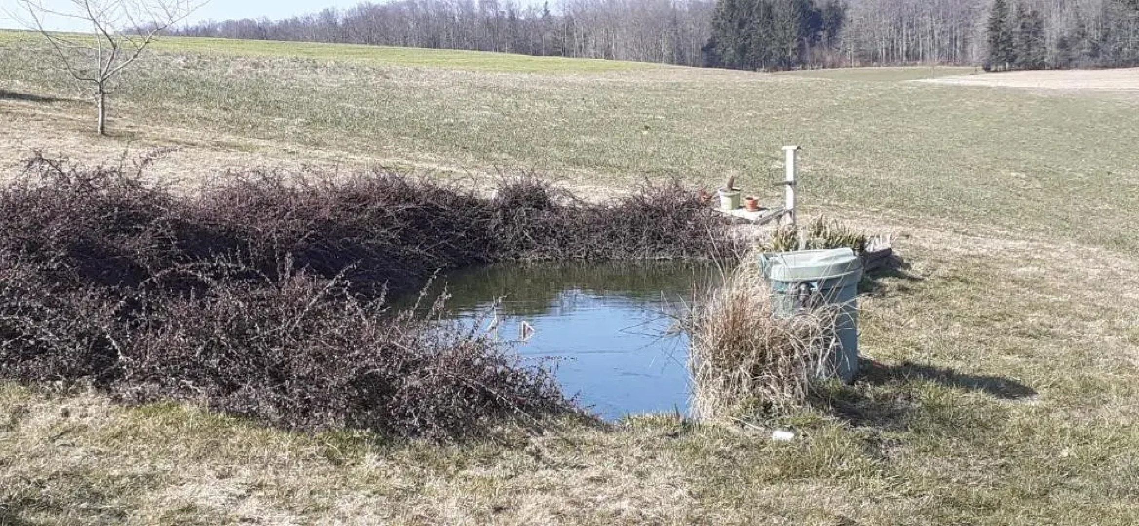 Chez Papy (Adults Only)