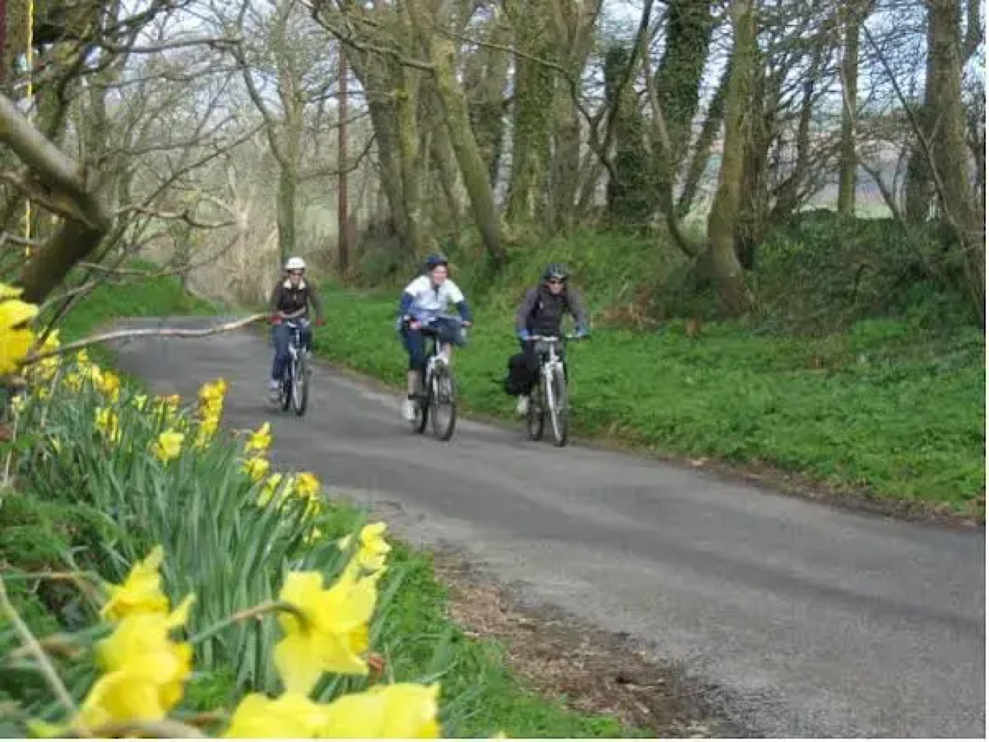 Ty Castell Bed  Breakfast - Home of the Kingfisher