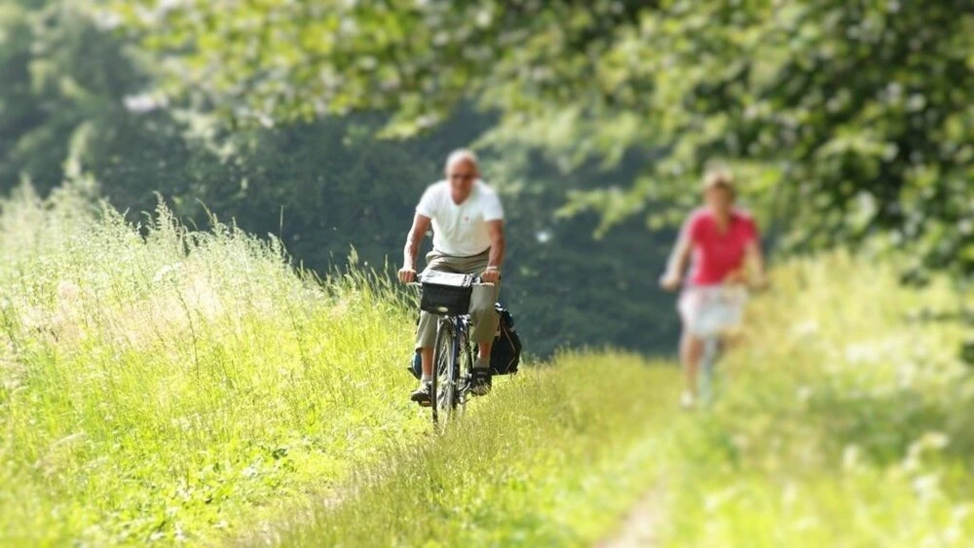 Bokebacken Forest Hotel