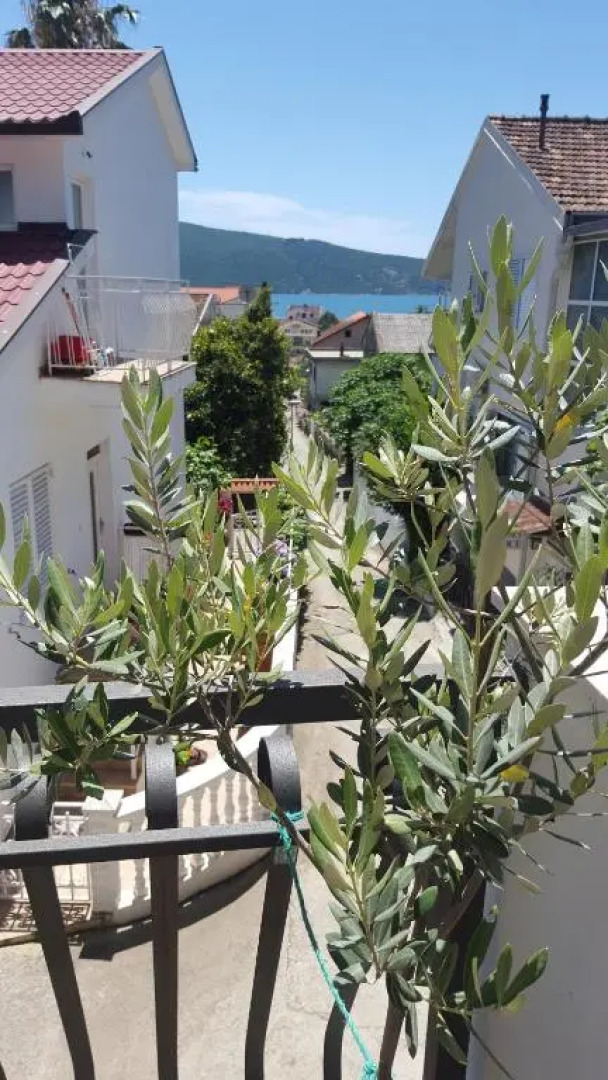 Fortunella Apartments