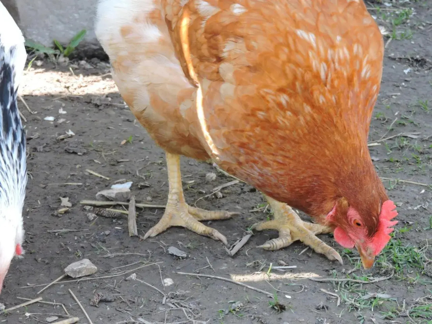 Vinita Chambres D'hotes